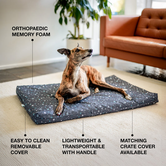 Mattress & Mattress Cover