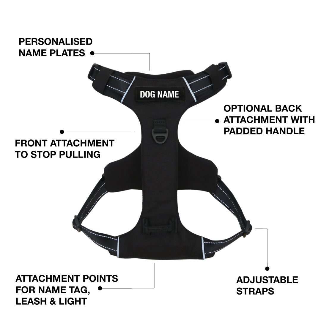 Odyssey Personalised Harness