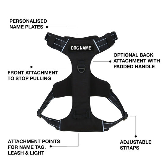 Odyssey Personalised Harness