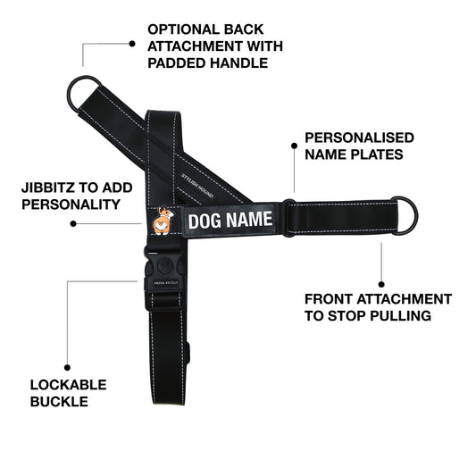 Personalised No-Pull Harness