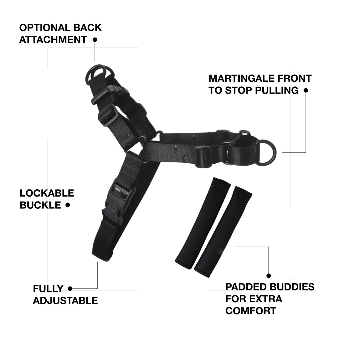 RNT No-Pull Training Harness - SALE