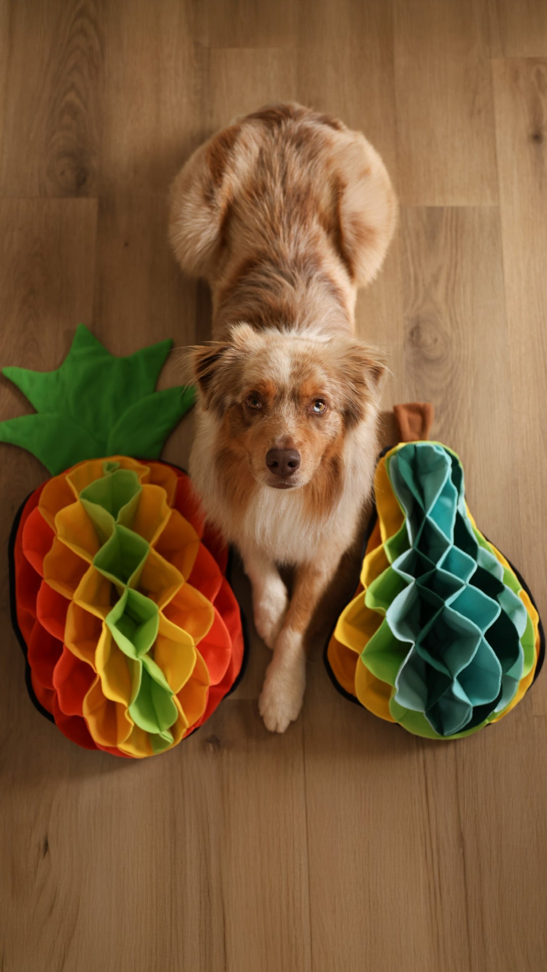 Pineapple Advanced Snuffle Pad