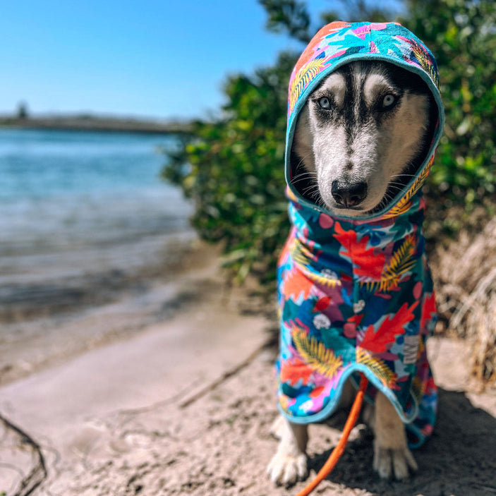 Paradise Dog Robe