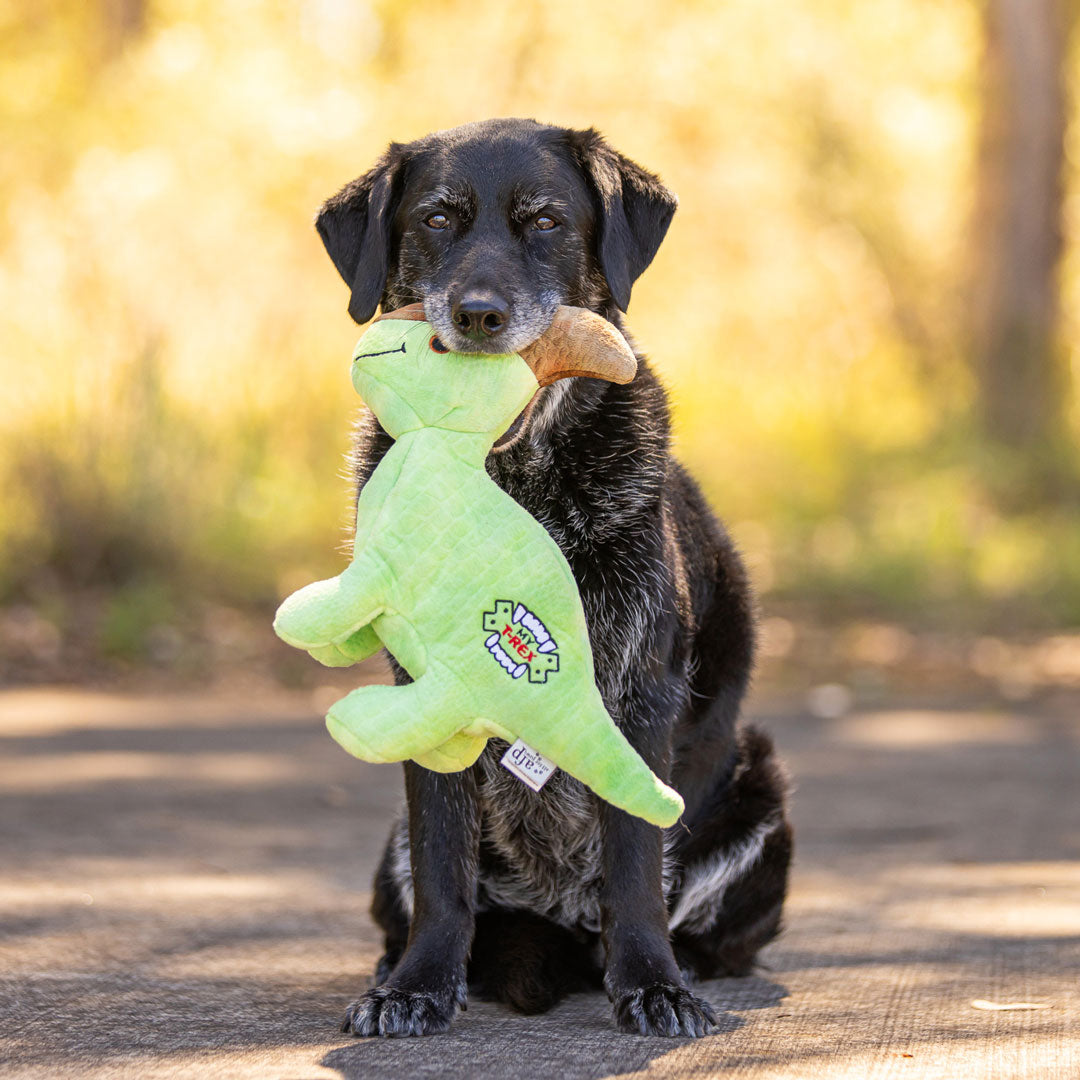 Soft Comforter Patrick the Parasaurolophus