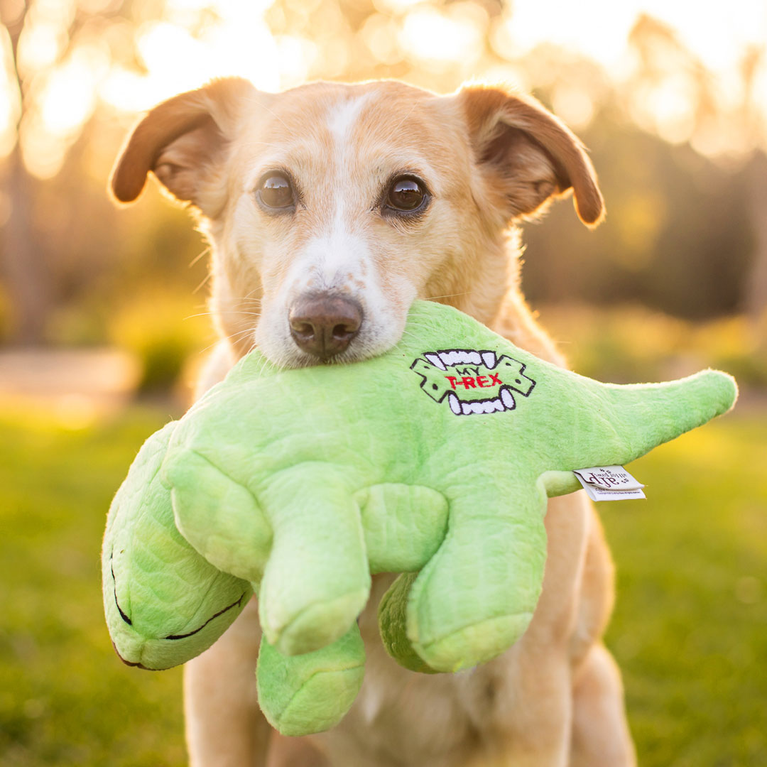 Soft Comforter Patrick the Parasaurolophus