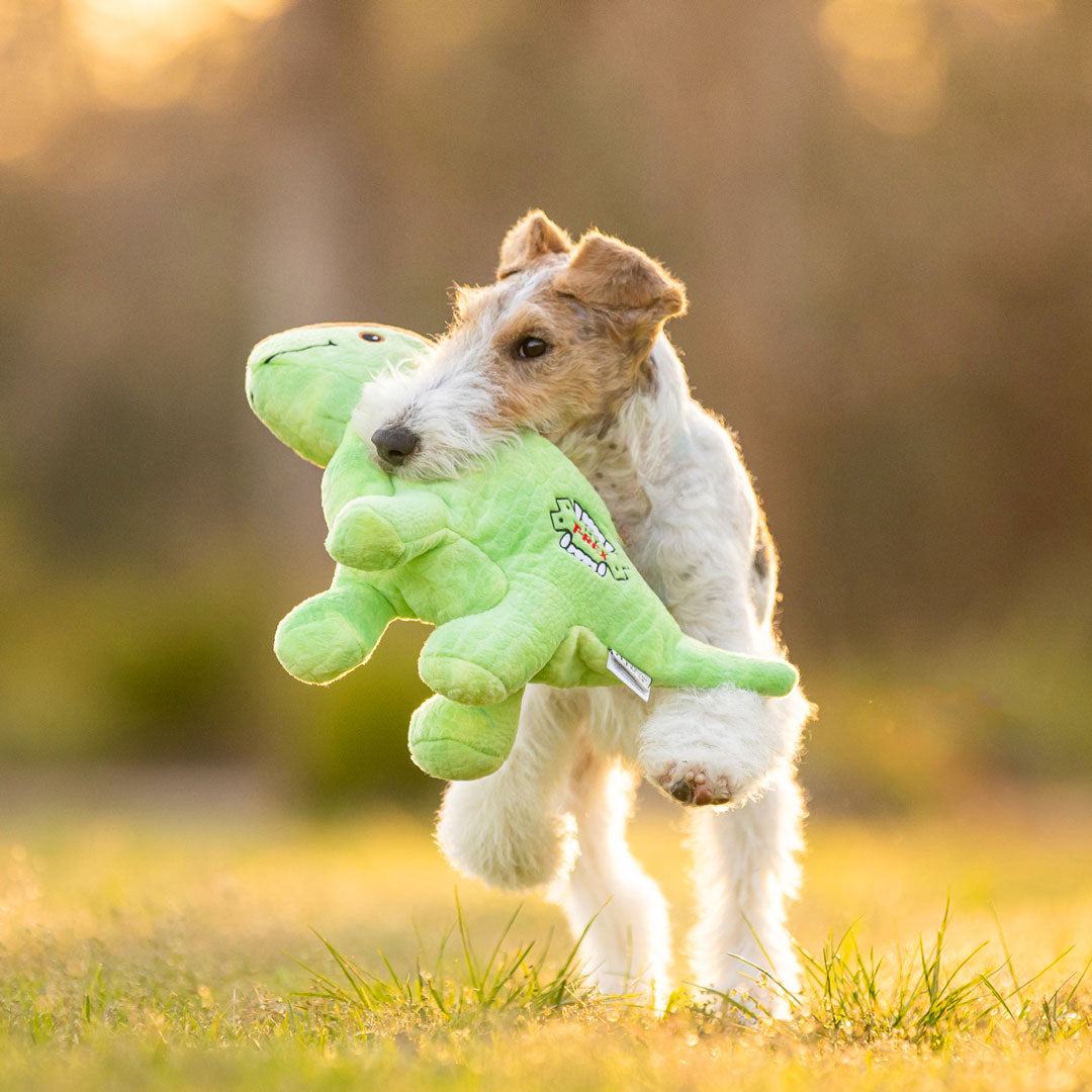 Soft Comforter Patrick the Parasaurolophus