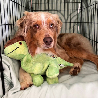 Soft Comforter Patrick the Parasaurolophus