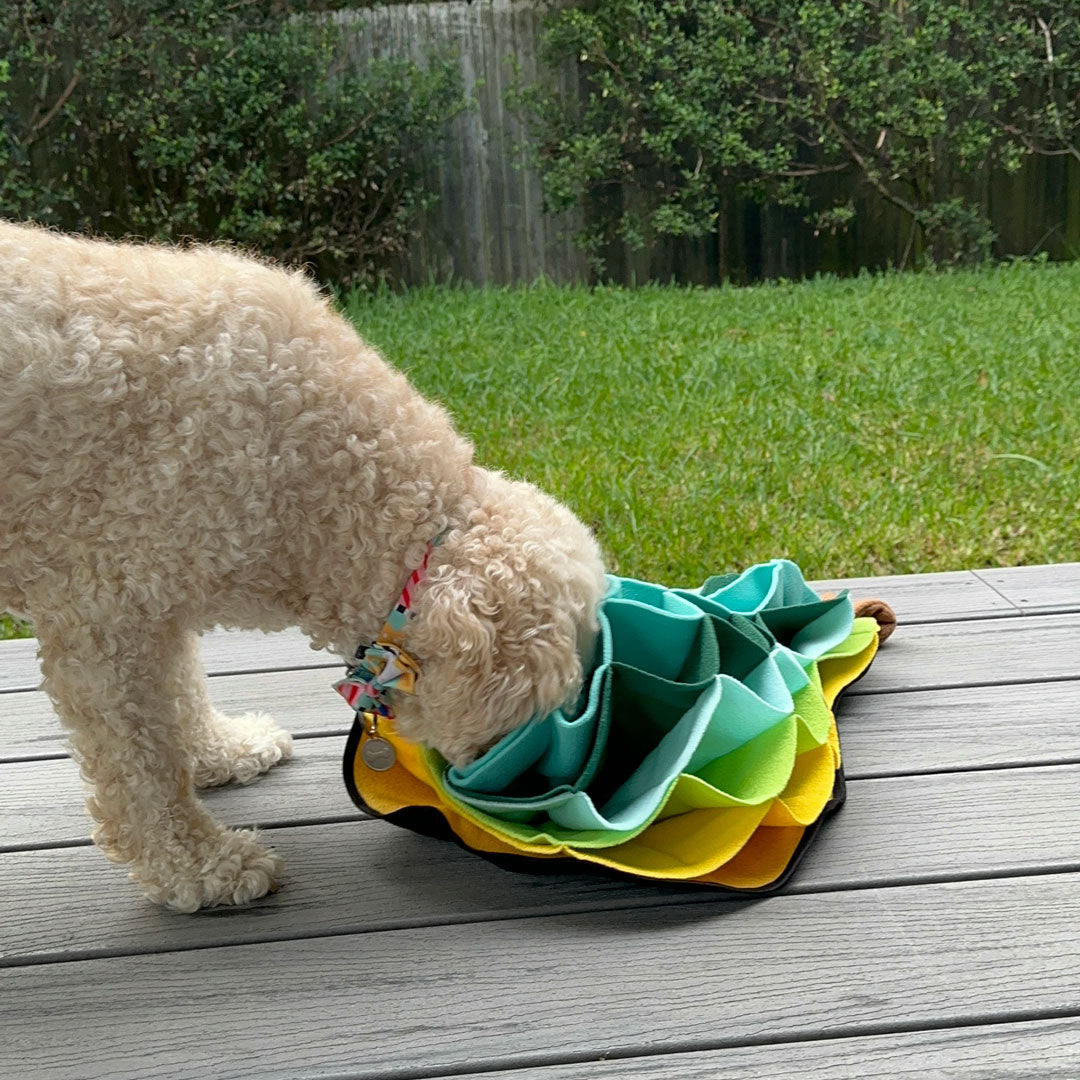 Pear Advanced Snuffle Pad