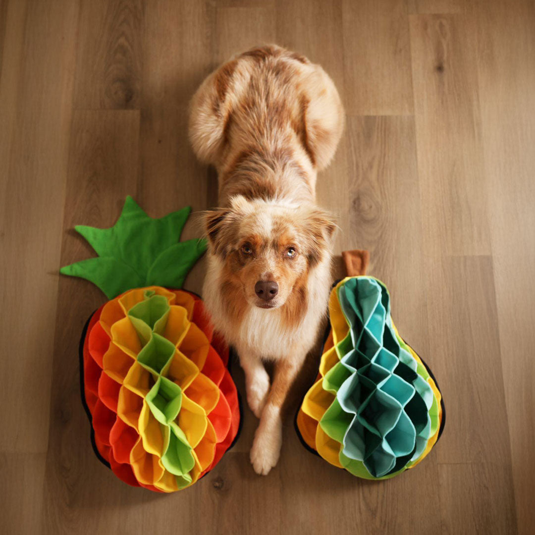 Pineapple Advanced Snuffle Pad