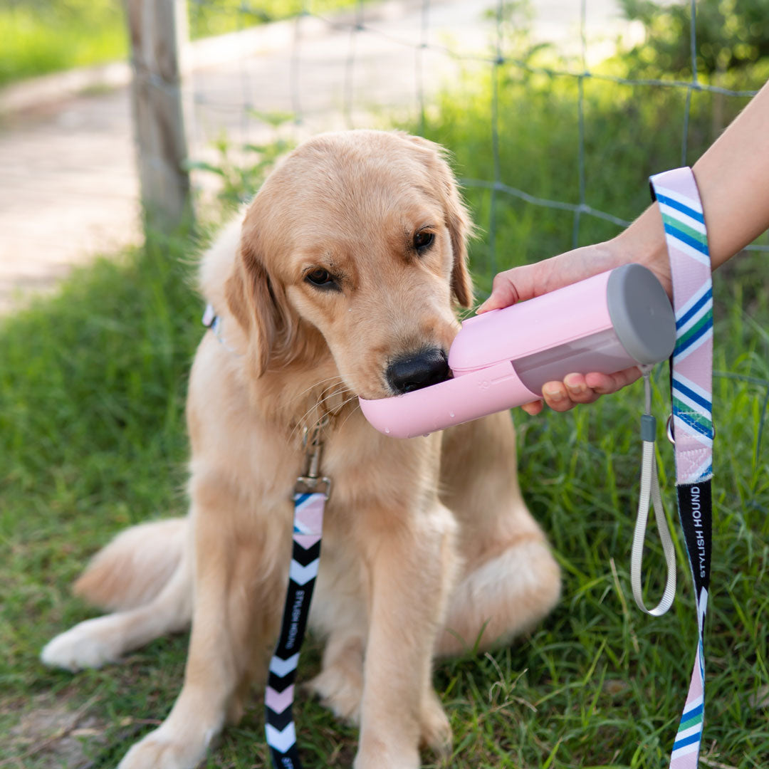 Pink Water Bottle - Pink