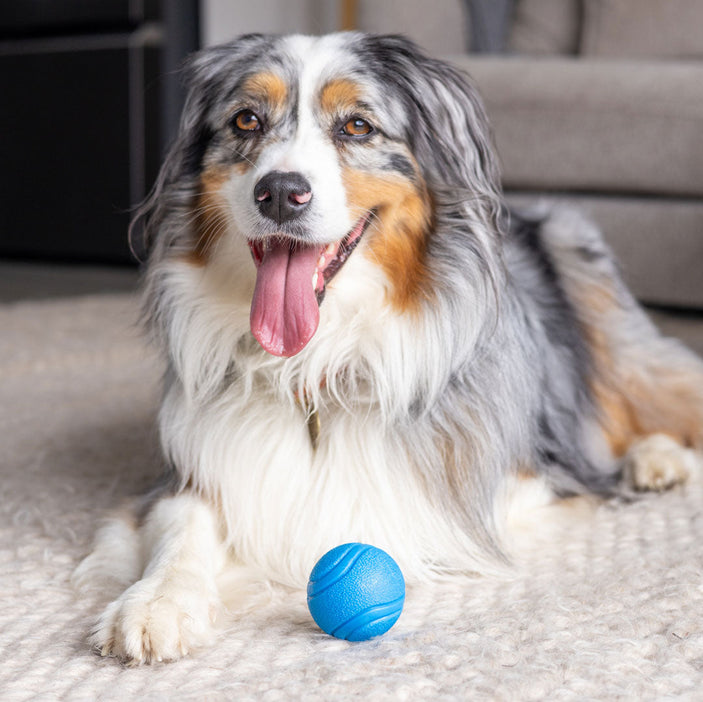 5cm Blue Rubber Tough Ball