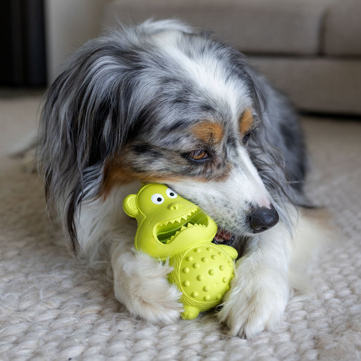 Chipmunk Squeaker Chew