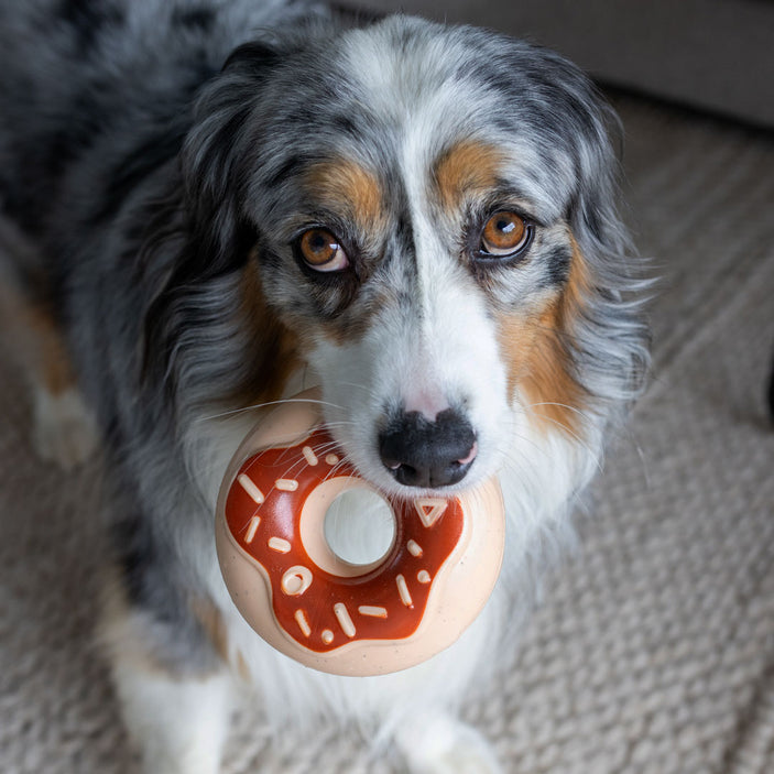 Chocolate Donut Squeaker Power Chew