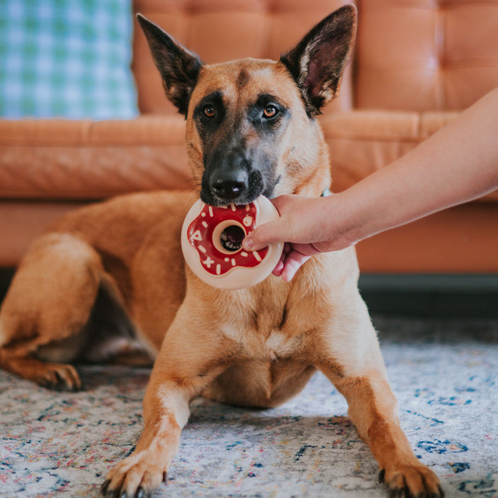 Chocolate Donut Squeaker Power Chew