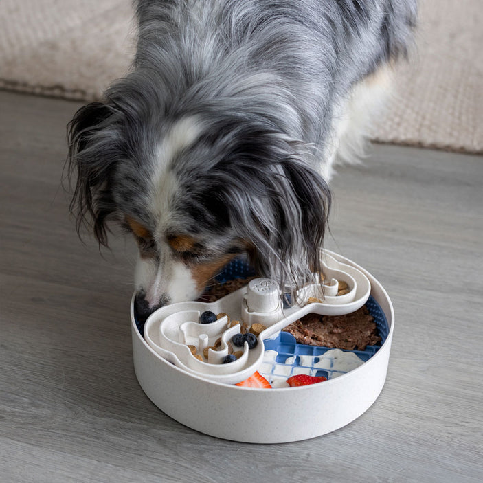 Blue Puzzle Feeder Bowl