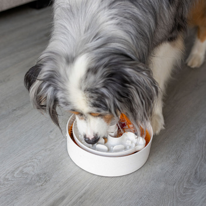 Lite Puzzle Feeder Bowl