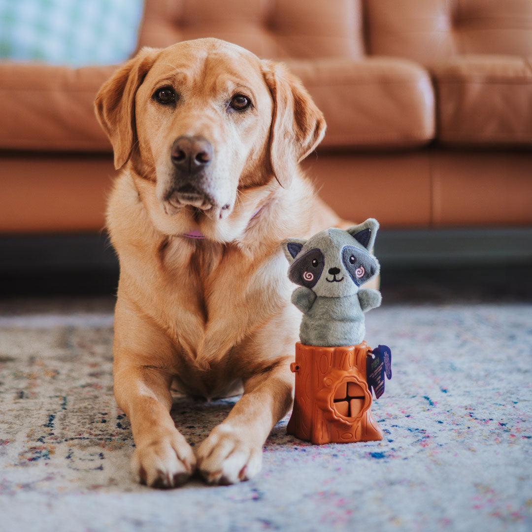 Raccoon 2in1 Soft + Rubber Toy Treat Dispenser | Afterpay | Stylish Hound