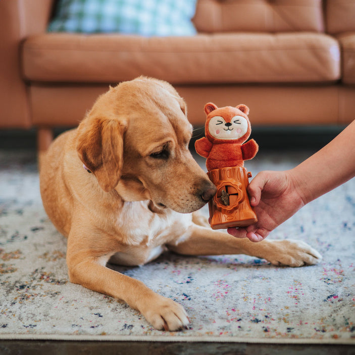 Squirrel 2in1 Soft + Rubber Toy Treat Dispenser