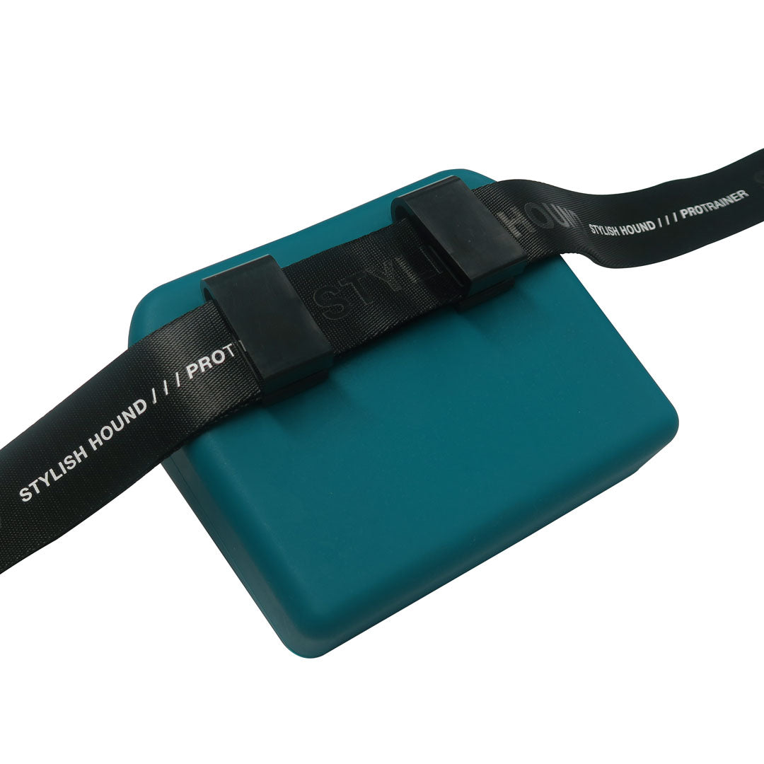 Teal Pro Trainer Silicone Pouch