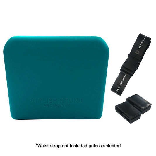 Teal Pro Trainer Silicone Pouch