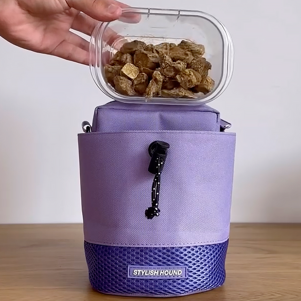 Purple Train n' Treat Pouch