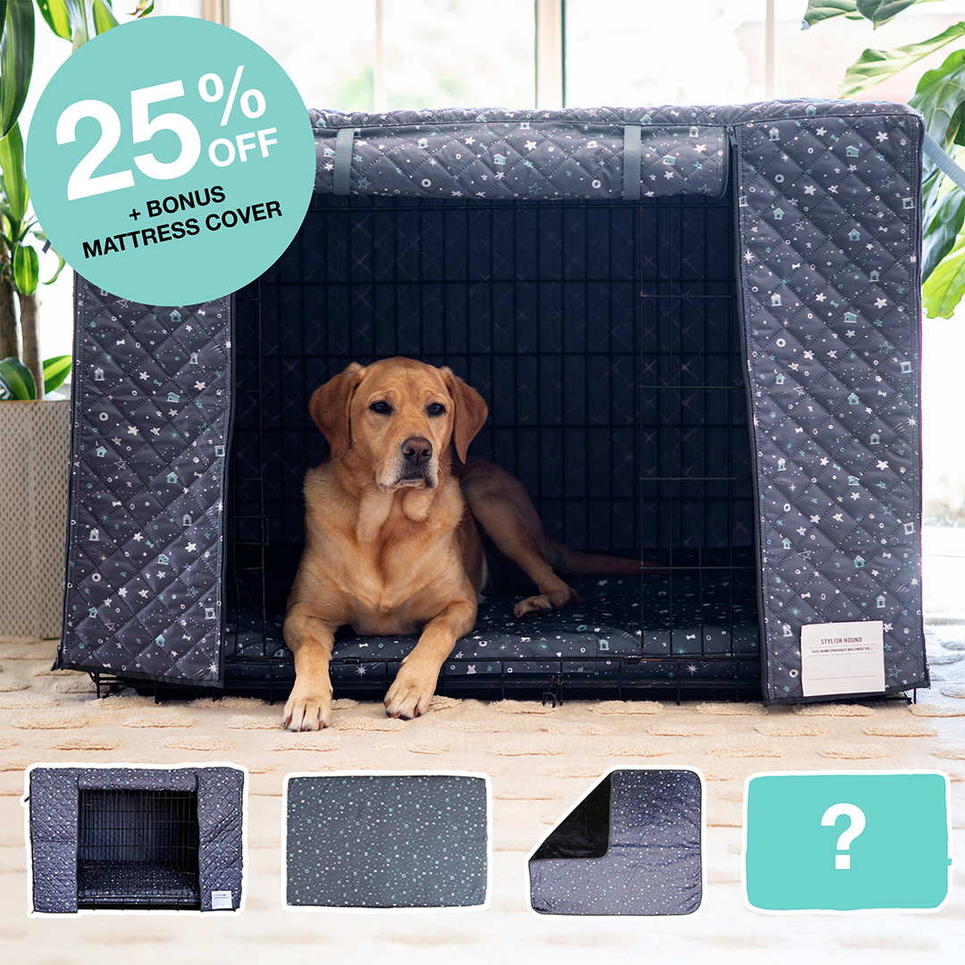 Quilted Crate Bundle