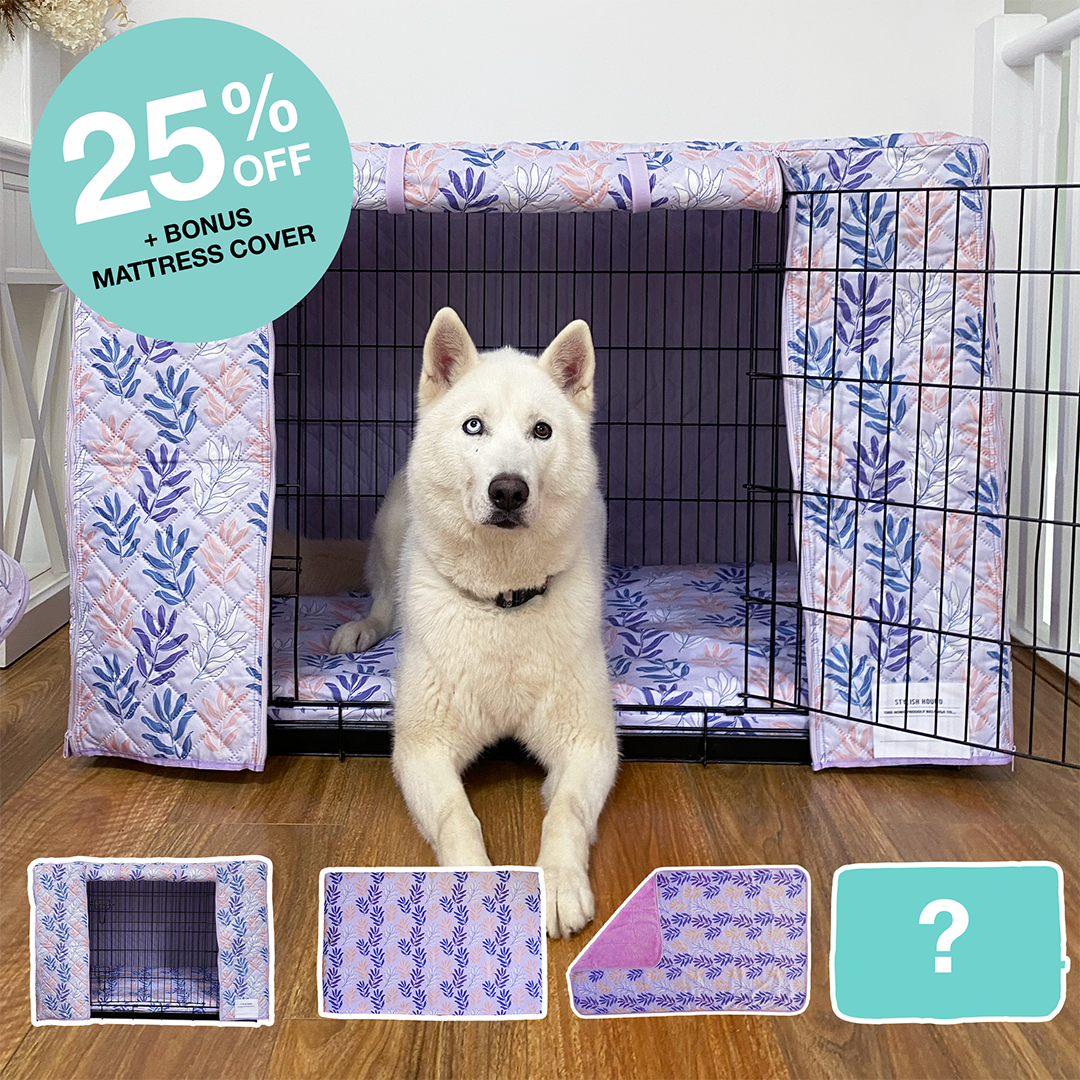 Quilted Crate Bundle