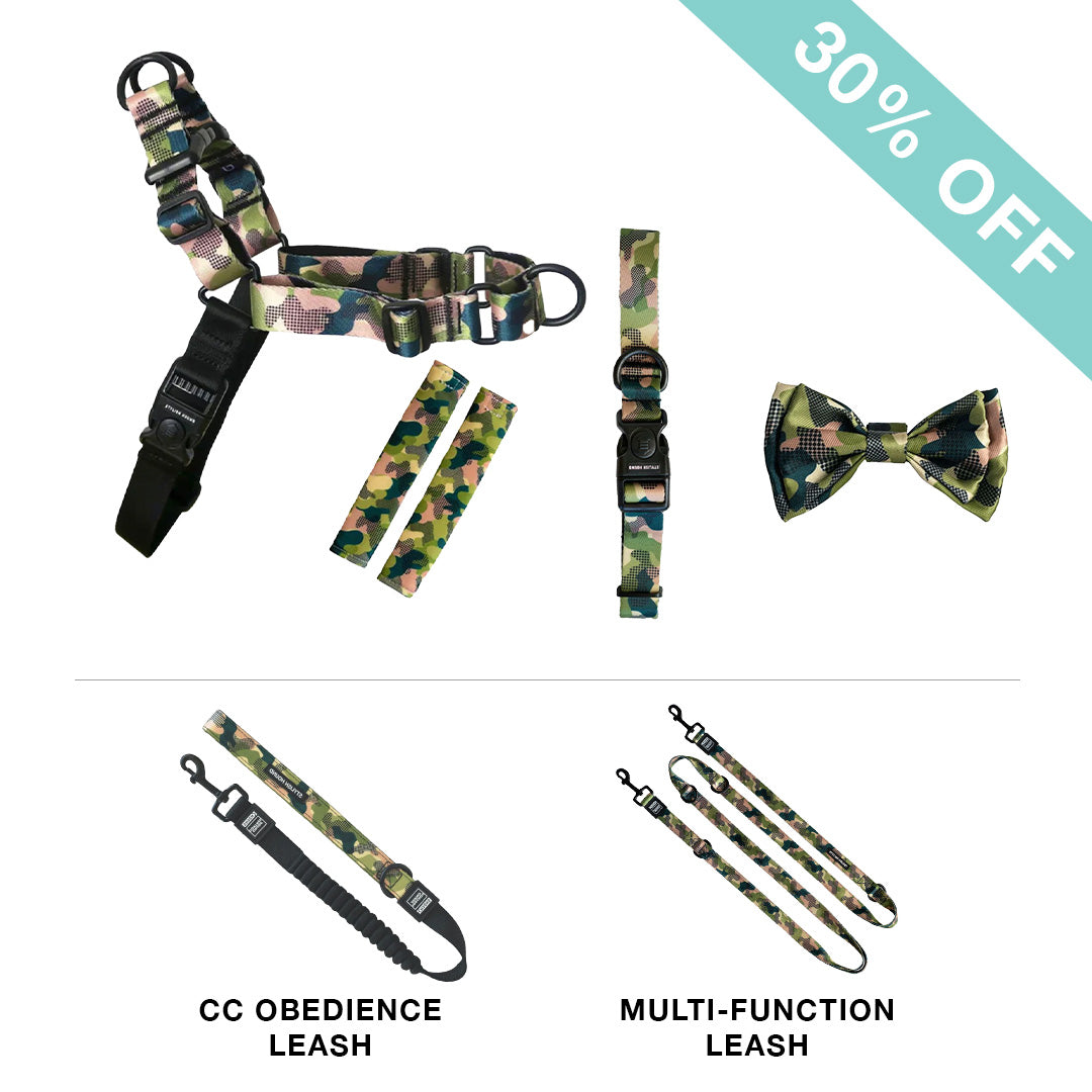 RNT No-Pull Harness + Leash + Collar + Bow Tie