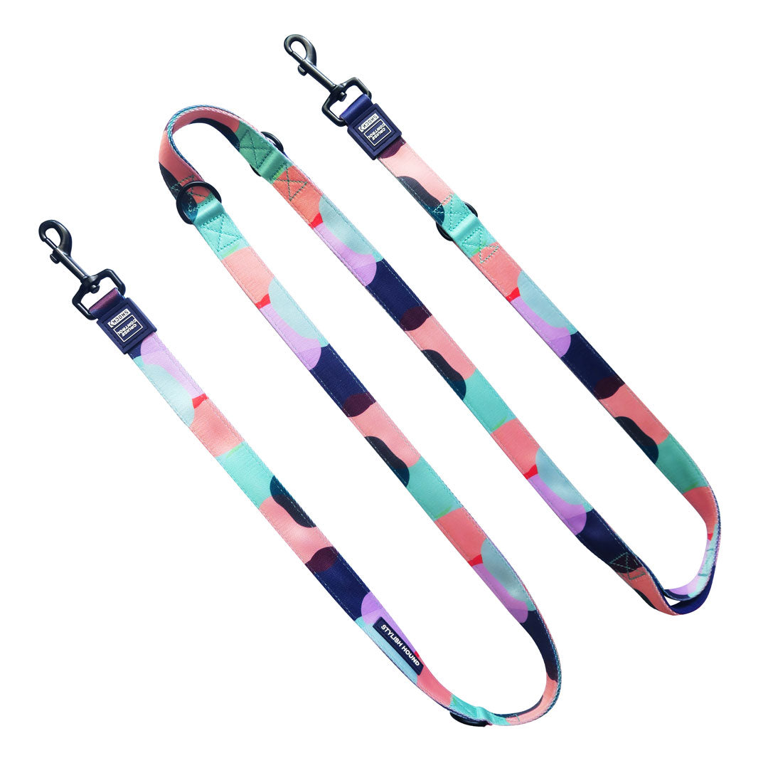 Multi-Function Leash