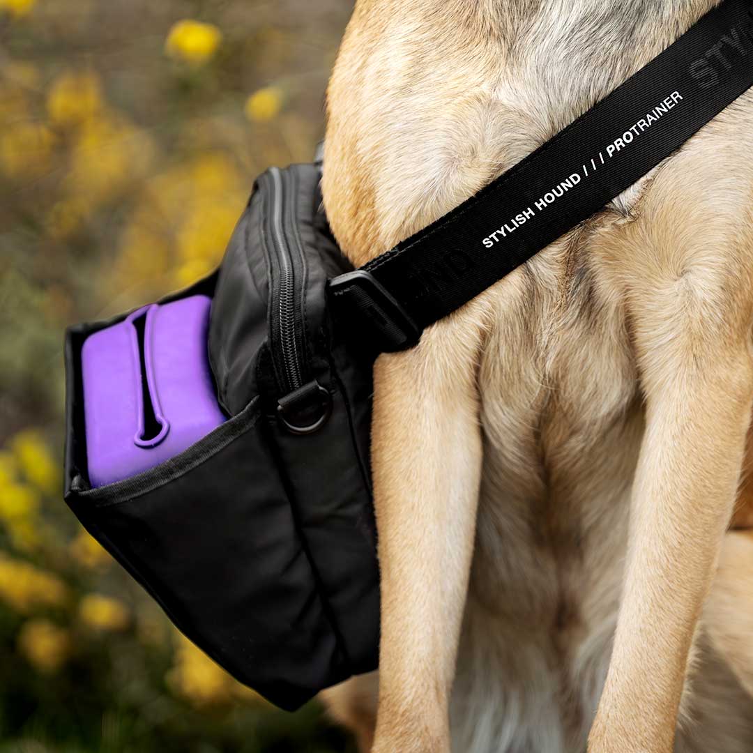 Black OG Treat Pouch 3.0