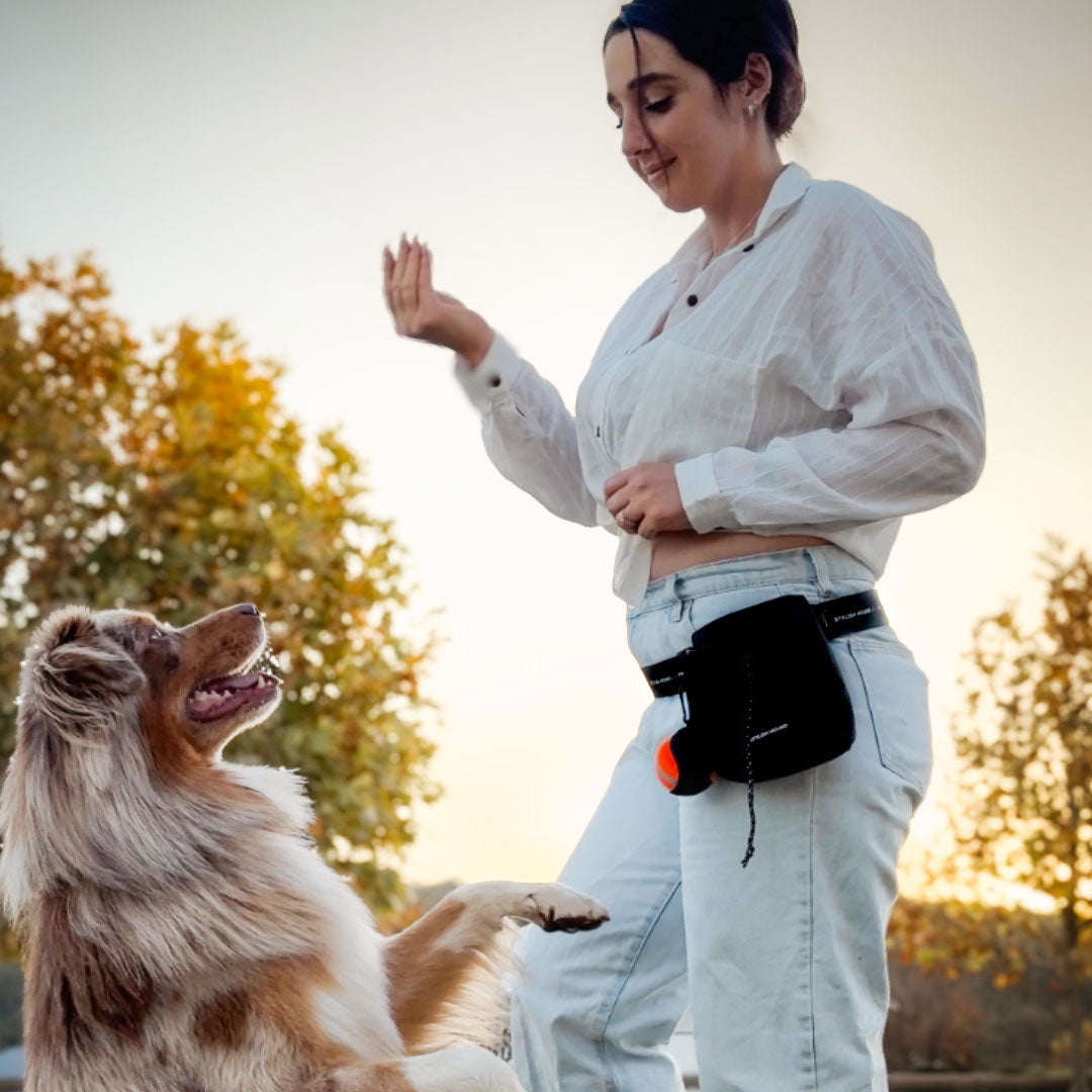 Train n' Treat Pouch