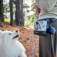 Evergreen Train n' Treat Pouch