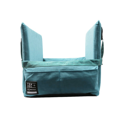 Car Seat and Travel Home