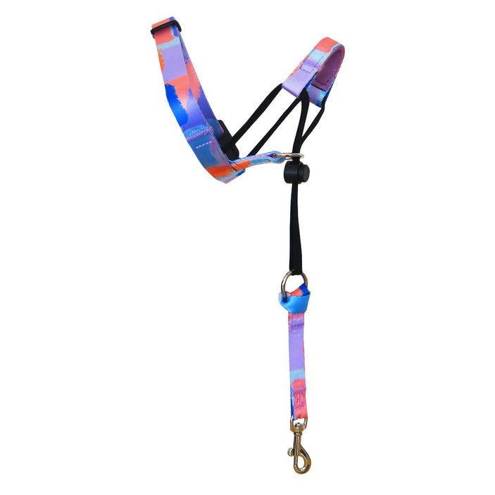 Chrome Halter + Safety Clip