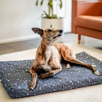 Starry Night Mattress Cover - Starry Night