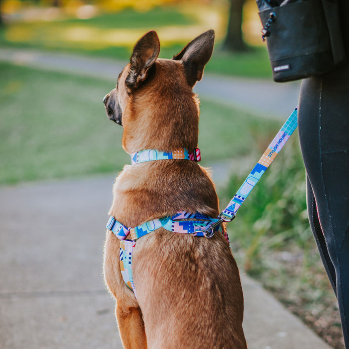 Milano OG No-Pull Training Harness