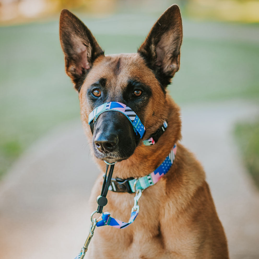 Milano Halter - Milano