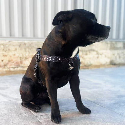 Jackson OG No-Pull Training Harness