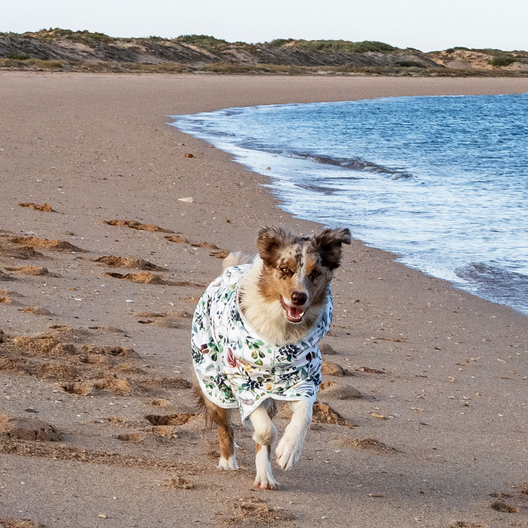 Evergreen Dog Robe - Evergreen