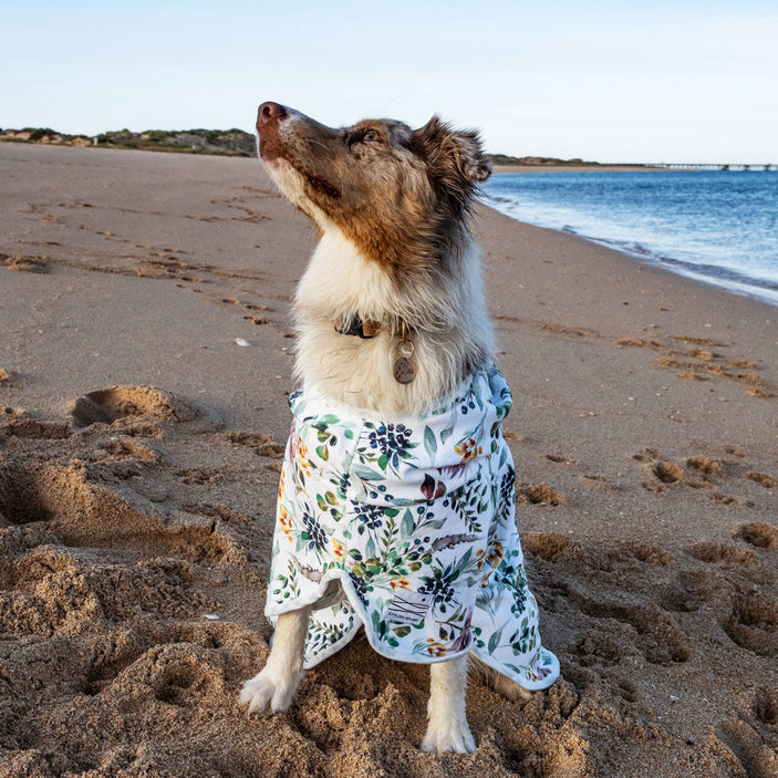 Evergreen Dog Robe