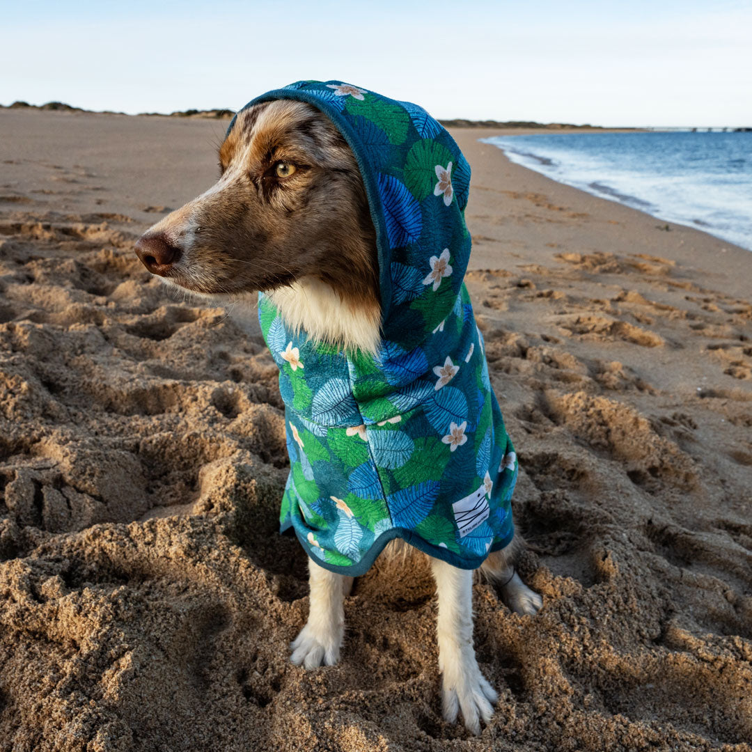 Verano Dog Robe