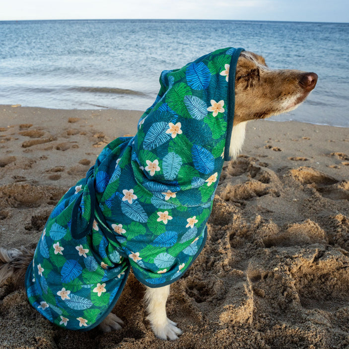 Verano Dog Robe