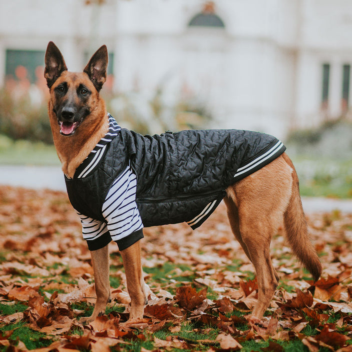 Black & White Stripe Hoodie