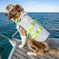 Jackson Dog Swim Jacket