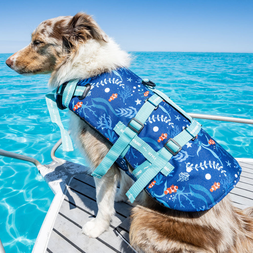 Dog hotsell swimming jacket