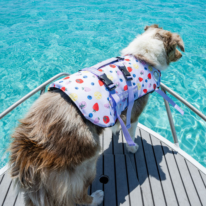 Summer Zest Dog Swim Jacket