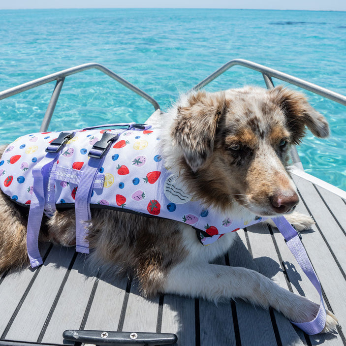 Summer Zest Dog Swim Jacket