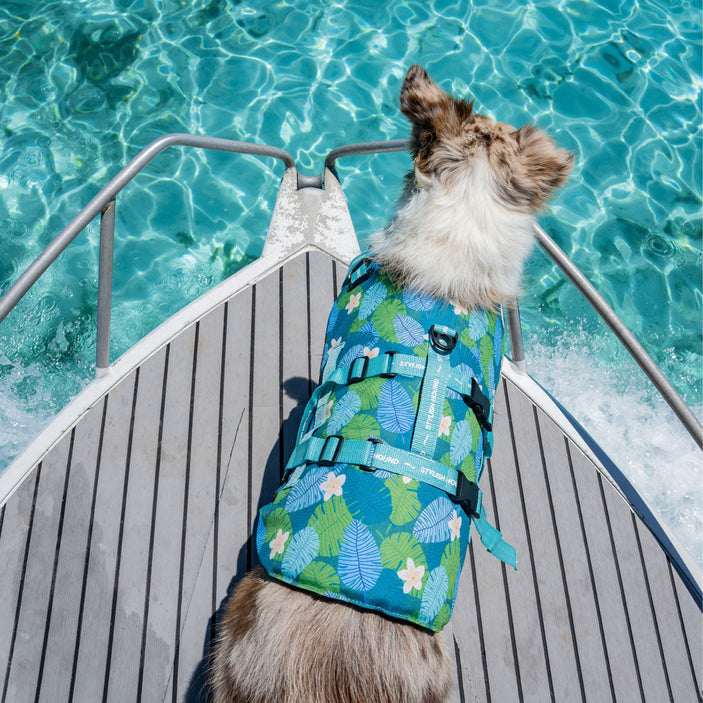 Verano Dog Swim Jacket