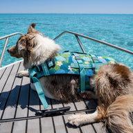 Verano Dog Swim Jacket
