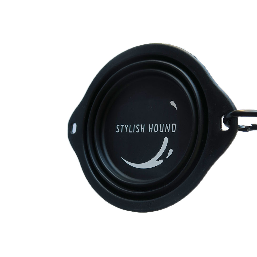 Collapsible Water Bowl